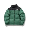 The North Face Nuptse 700 Green