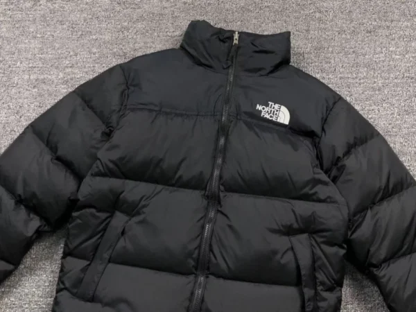 IMG_9404 The North Face Nuptse 700