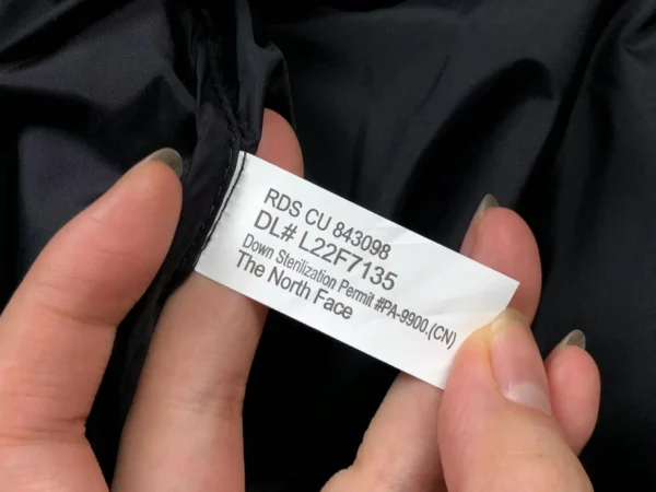 IMG_9445 The North Face Nuptse 700